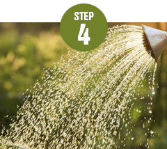 how-to-install-step-4
